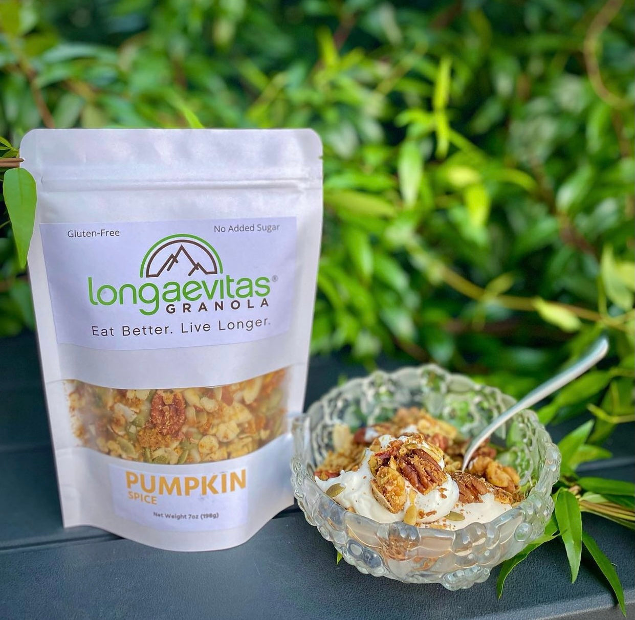Longaevitas PUMPKIN Spice Granola pictured with a bowl of fresh whipped cream (No Sugar Added)